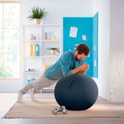 Balancebold Leitz Ergo Cozy