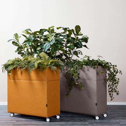 Plant Divider akustik rumdeler til planter, lysegrøn