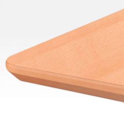 Hæve sænkebord Triform Classic 100x200
