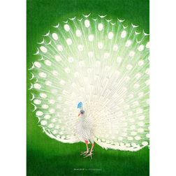 Akustik billede Peacock 80x112 cm