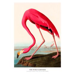 Akustik billede The Pink Flamingo 57x80 cm