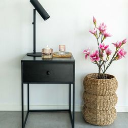 Plante Magnoliatræ 75 cm