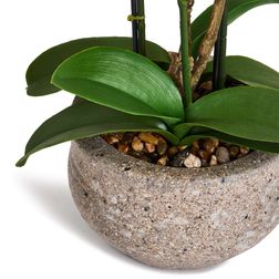 Plante Orkide 42 cm, Rosa/gul