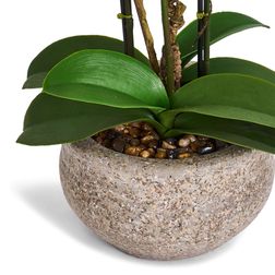 Plante Orkide 42 cm, hvid