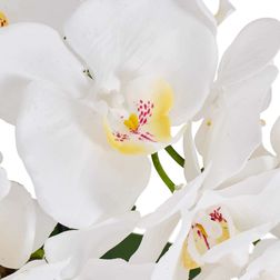 Plante Orkide 42 cm, hvid