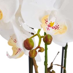 Plante Orkide 42 cm, hvid