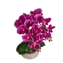 Plante Orkide 42 cm, mørk lilla