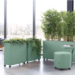 Akustik rumdeler Plant Divider A4 inkl. planter