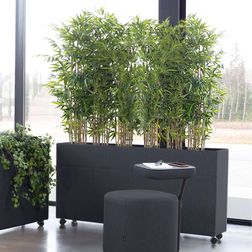 Plant Divider akustik rumdeler til planter, lysegrøn