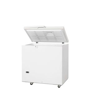 Laboratorie fryser Tefcold SE20-45