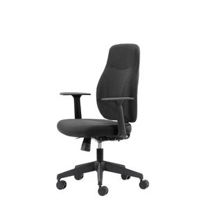 Kontorstol Canadian Ergo Eco 2