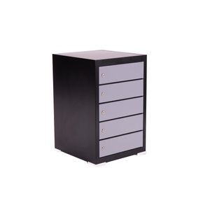PC-Skab 5 rum, INLUX Safecharge PCS-5