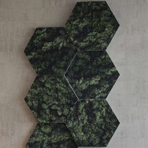 Honey Moss print EcoSUND 6 stk.