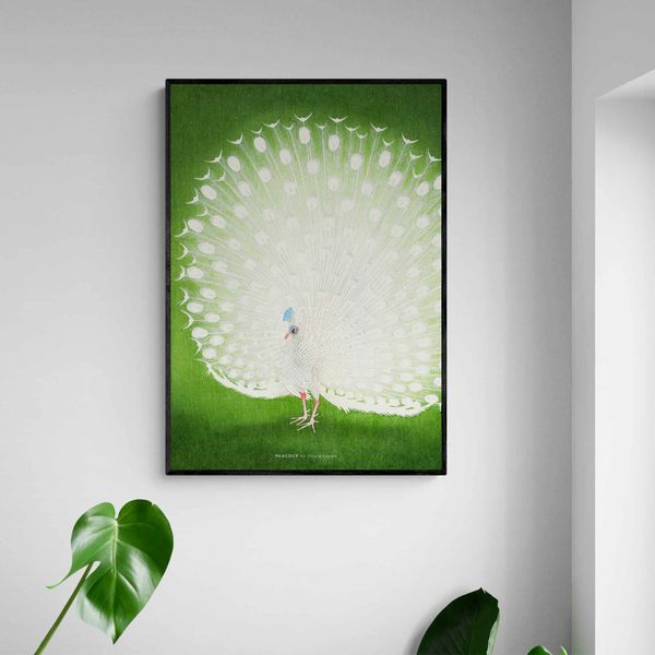 Akustik billede Peacock 80x112 cm