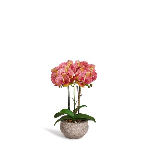 Plante Orkide 42 cm, Rosa/gul