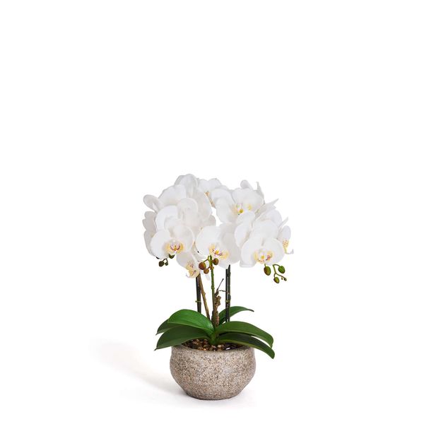 Plante Orkide 42 cm, hvid